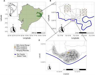 Automated detection and detection range of primate duets: a case study of the red titi monkey (Plecturocebus discolor) using passive acoustic monitoring